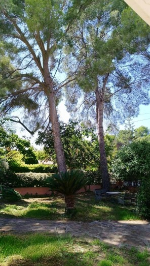 Jardín